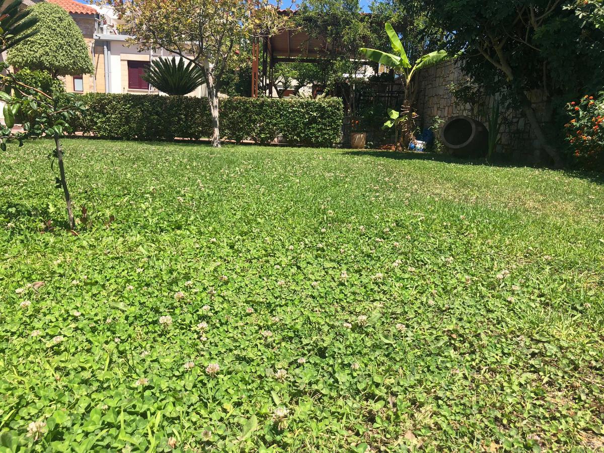 PRIVATE Sapphiros Villa Kíssamos Eksteriør billede